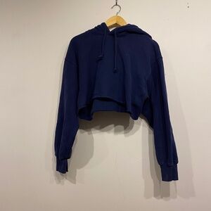 Aritzia TNA Blue The Perfect Crop Hoodie